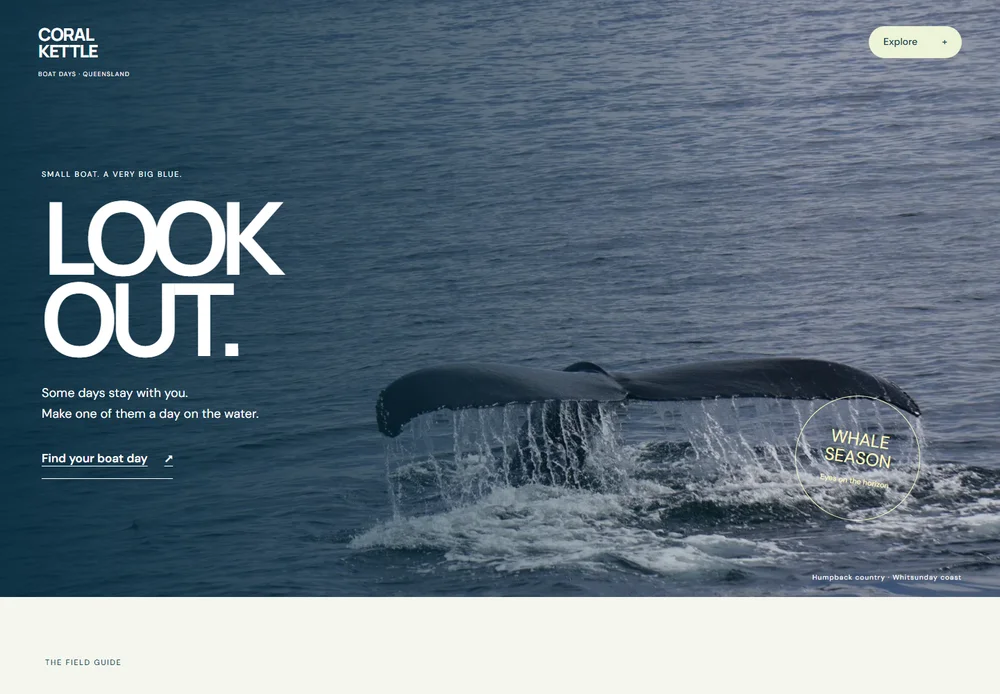 Coral Kettle Tours Immersive whale photograph with oversized LOOK OUT lettering and a seasonal roundel