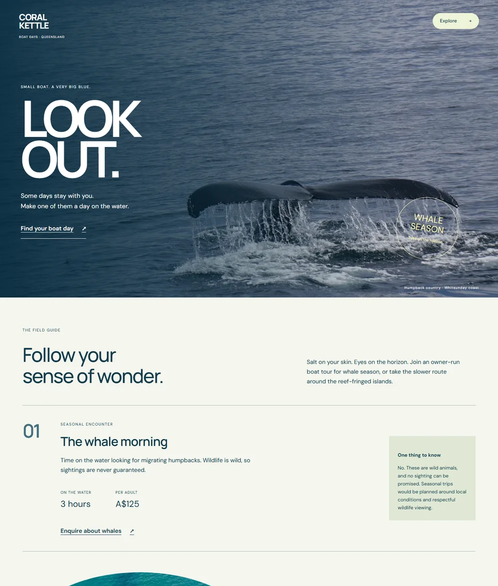 Coral Kettle Tours Immersive whale photograph with oversized LOOK OUT lettering and a seasonal roundel