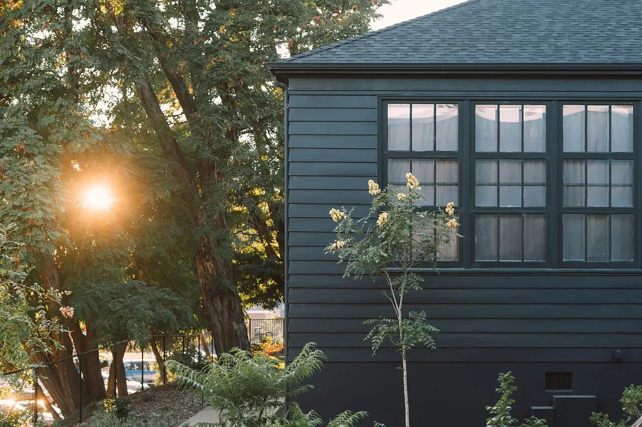 A sunlit cottage garden with leafy trees and a small house