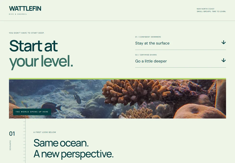 Wattlefin Dive & Snorkel Experience-level navigation above an underwater window, followed by a light-to-dark depth guide